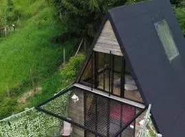 NatuGlamp
