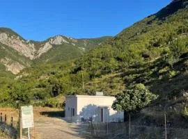 Bujtina Dalmacia 2