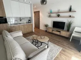 Modern Apartment next to Kaunas castle