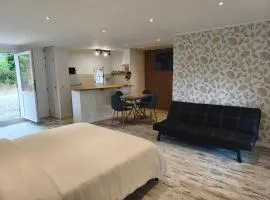 Studio Prestige avec terrasse Climatisation Parking privé 2 à 4 personnes Tourrettes Fayence