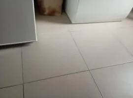 Un appartement de rêve Martha