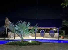 Siki's Cactus Hideaway