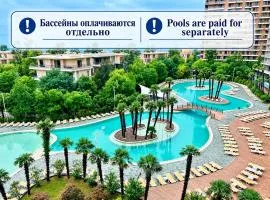 Dreamland Oasis Apartments