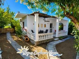 Skyros Euphoria House