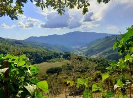 La Felce e il Mirtillo