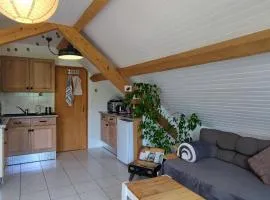 Appartement douillet avec vue sur les montagnes