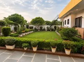 Lime Tree Studio Near Fortis Gurgaon