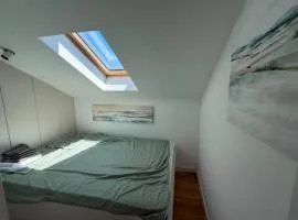 Viktor apartmani