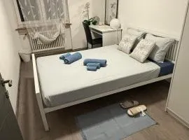 Modern B&B with Garden and Lounge