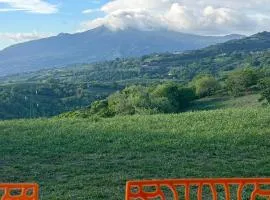 Villa Floru