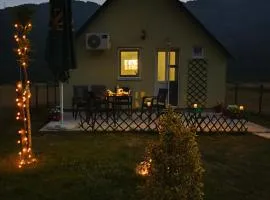 Home Delic Komarnica