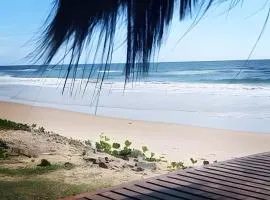 Licuri Praia de Algodões na beira do mar