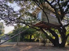 Tree house Living