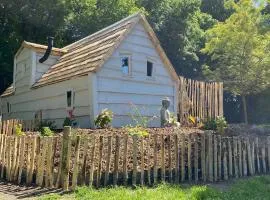 Cabane Forest