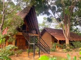 Ama Villa - Habarana