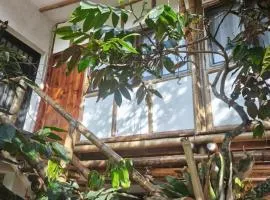 Suite Central Campestre - Casa Matula