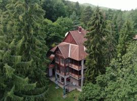 Ezüstfenyő Hotel, hotel Telkibányán