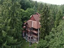 Ezüstfenyő Hotel