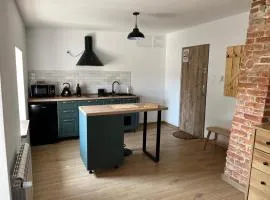 Apartament w centrum