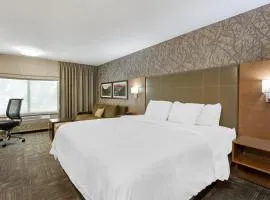 Best Western Plus CottonTree Inn