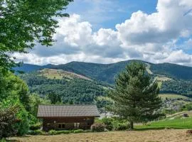Chalet entier, vue panoramique, ruisseau et sauna.