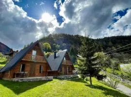 Bujtina n'kullë
