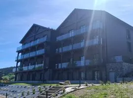 Willa Zieleniec, Apartament A9 - Piękny widok, basen, strefa wellness