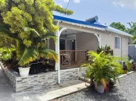 Edenbluetropical