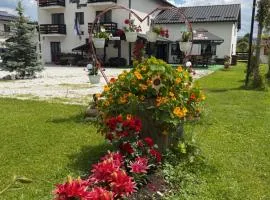 Pensiunea Poiana Dornei