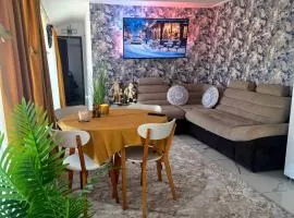 Paradisul Dunării Hinova II