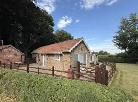 Crossways Sycamore