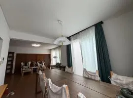 Sodegaura House-Near Kisarazu Outlet