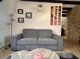 Appartement 2 pièces cocooning au cœur d'Obernai