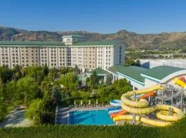 NG Afyon Wellness & Convention
