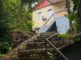 House Ilia