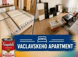 Vaclavskeho Apartment Medzilaborce