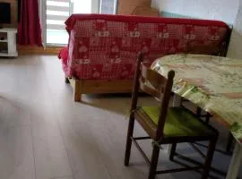 Studio confortable à Cauterets - 40 m² - Vue sur la montagne