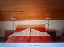 Diviák Apartman