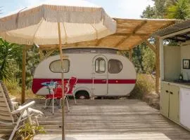 Três figos Caravan