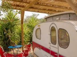 Três figos Caravan