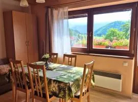 Apartmán Donovaly Mišuty 586