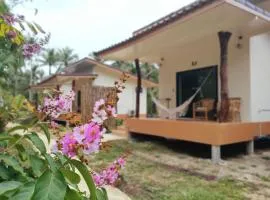 Suanthara kokut