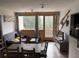 Bel appartement rénové T2 avec balcon au pied des pistes - FR-1-787-10