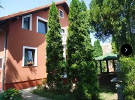 Vila Petrovic- studio apartman