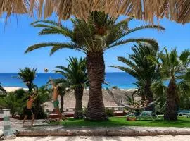 Porto Santo Destination