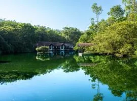 Serenity Wellness