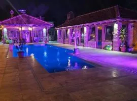 Villa Golden Coin - Zlatnik