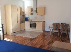 Spacious Heritage Apartment for Groups