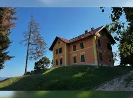 Villa Mestni Hill