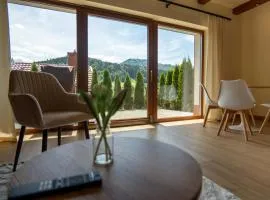 Willa i Wzgórze Jerrego Apartamenty, Domki i Pokoje z Widokiem na Góry